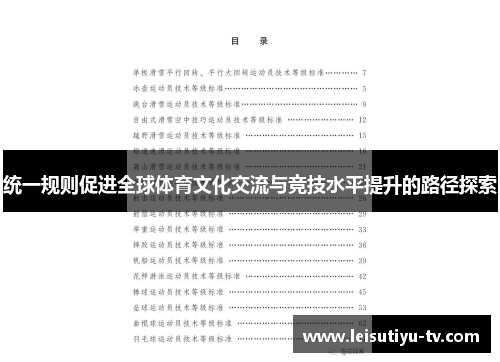 统一规则促进全球体育文化交流与竞技水平提升的路径探索